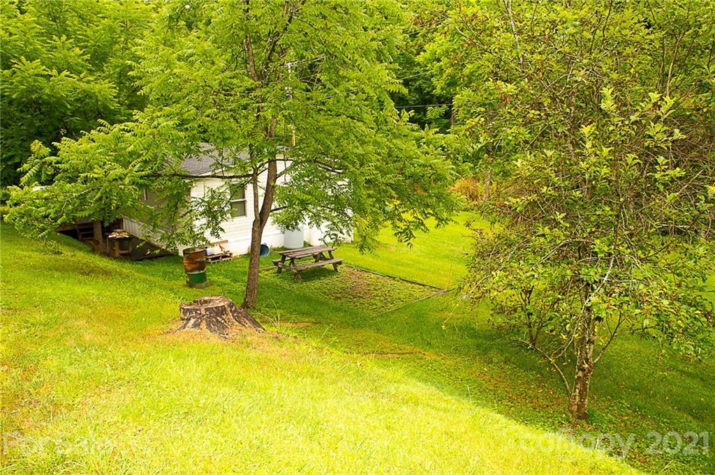 1000 Halewood Road Marshall NC 28753