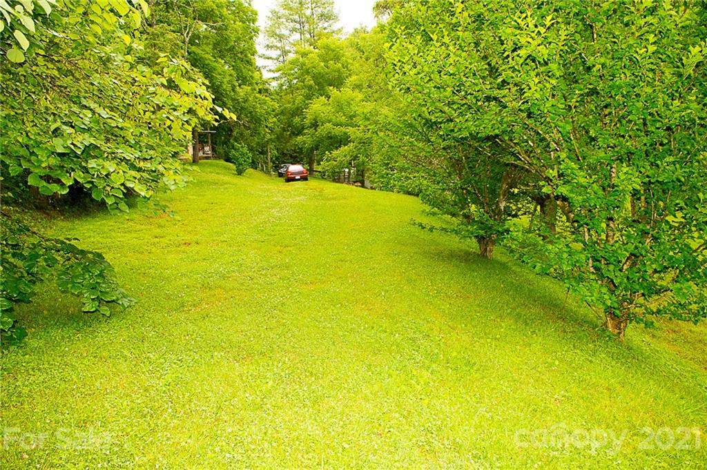 1000 Halewood Road Marshall NC 28753