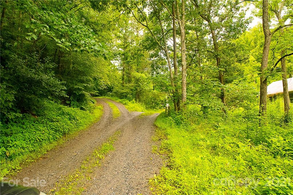 1000 Halewood Road Marshall NC 28753