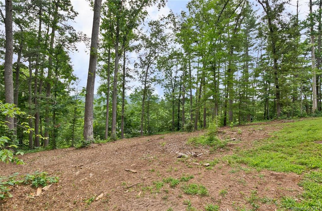4 Northview Lane Weaverville NC 28787